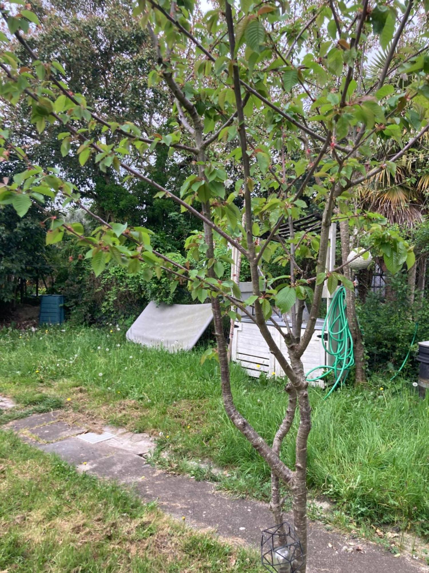 Maison De Campagne A La Ville Villeneuve-sur-Lot Kültér fotó